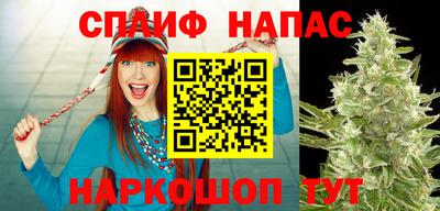 ECSTASY Кунгур